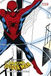 Acheter Amazing Spider-Man :  De grands pouvoirs - édition cartonnée