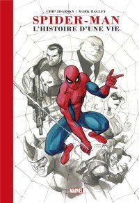 Spider-man - L'histoire d'une vie - artist edition